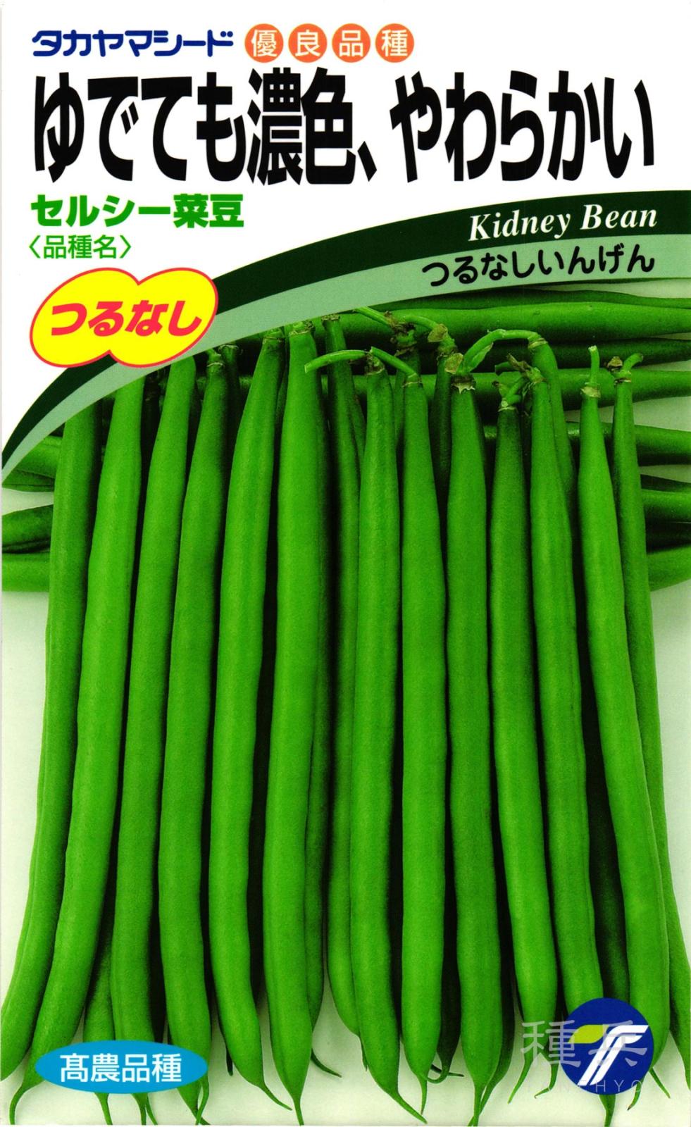 つるなしインゲン 種 『セルシー菜豆』  タカヤマシード
