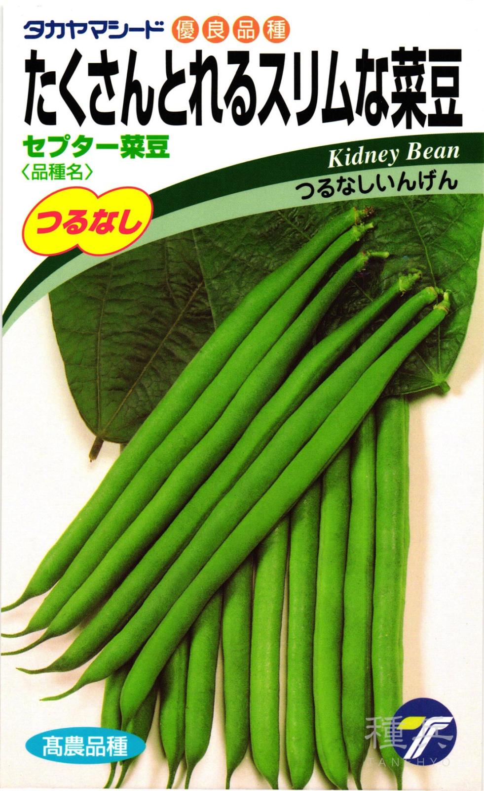 つるなしインゲン 種 『セプター菜豆』  タカヤマシード