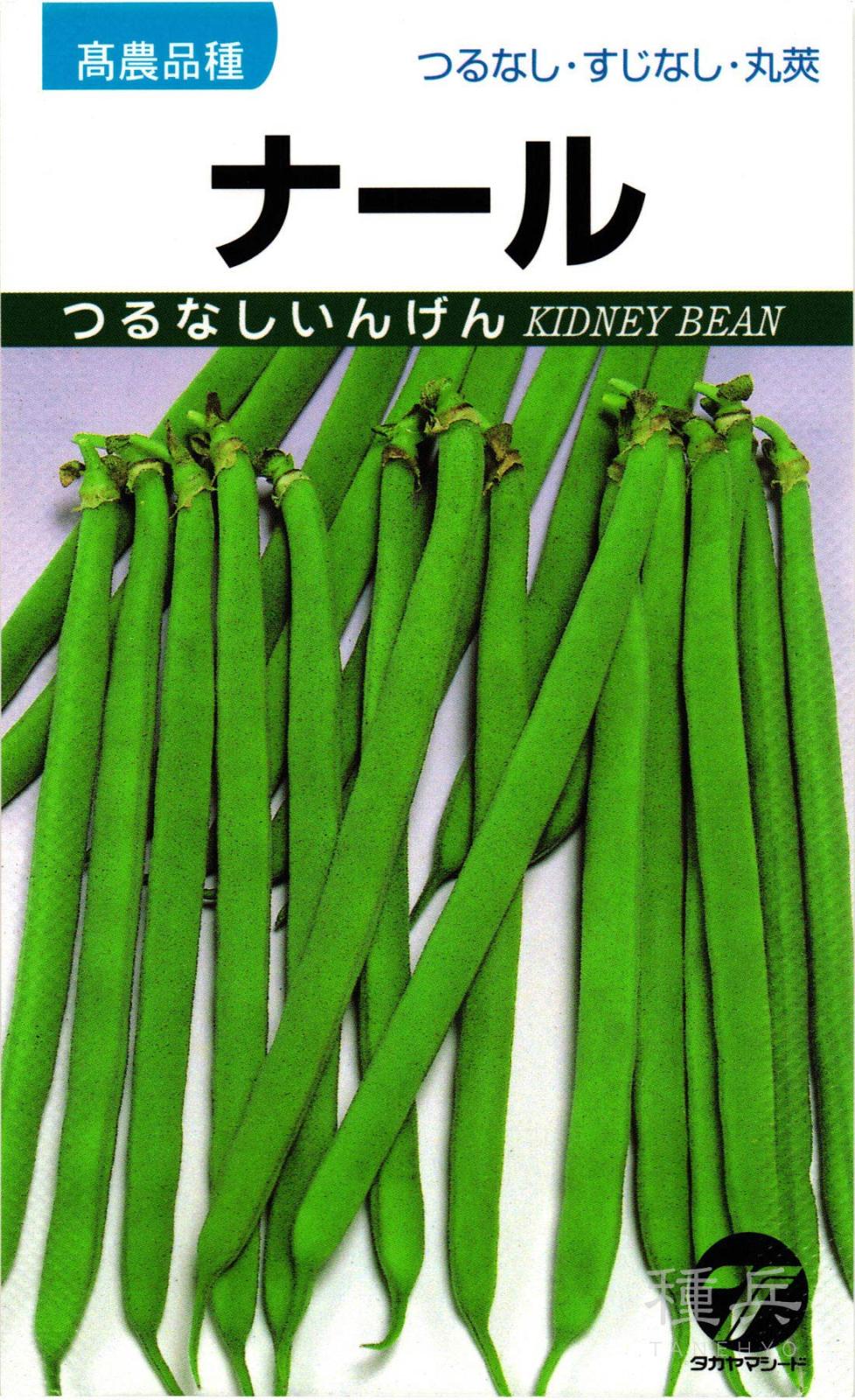 つるなしインゲン 種 『ナール』  タカヤマシード