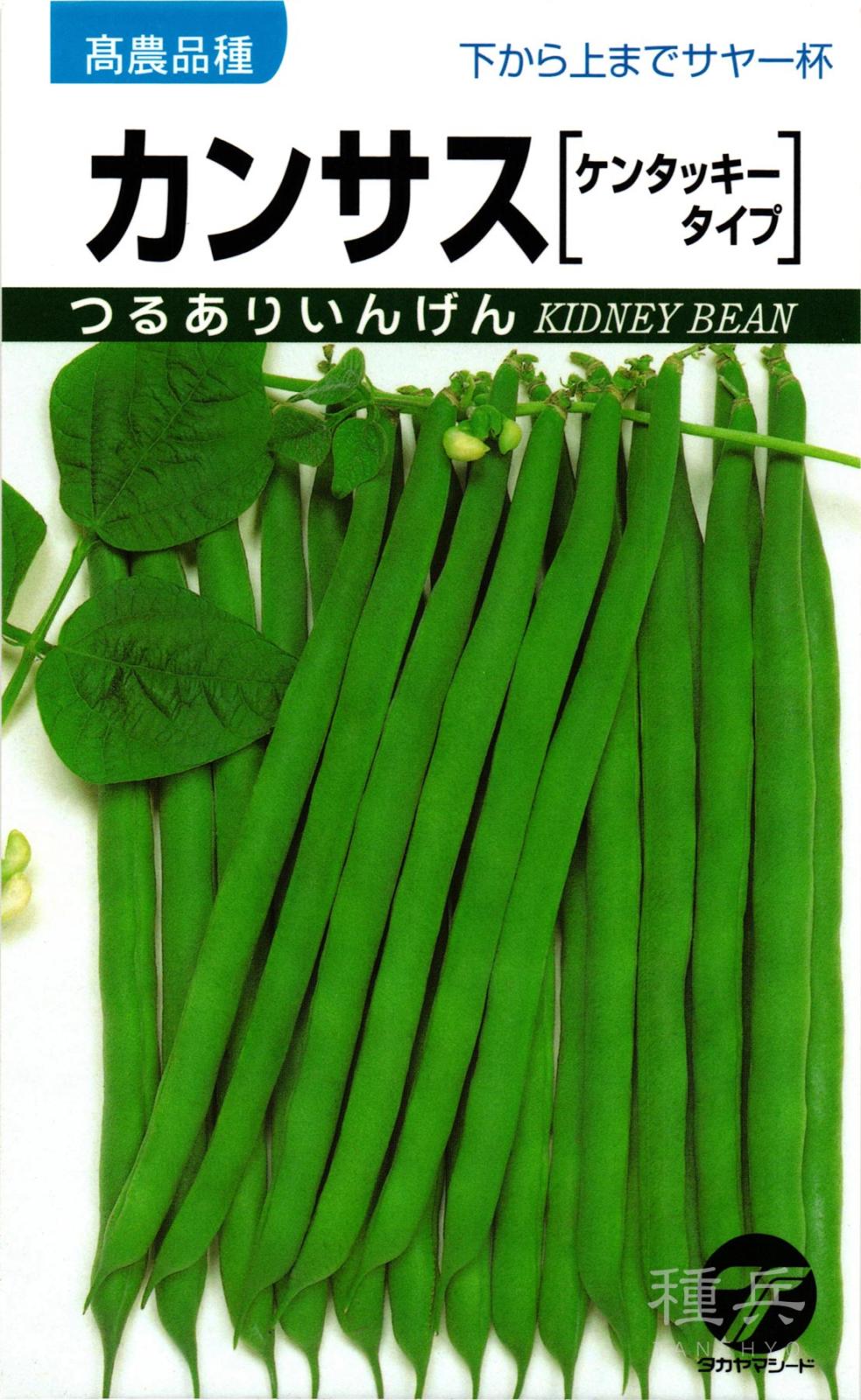 つるありインゲン 種 『カンサス』  タカヤマシード
