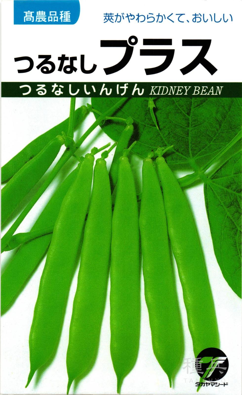 つるなしインゲン 種 『つるなしプラス』  タカヤマシード