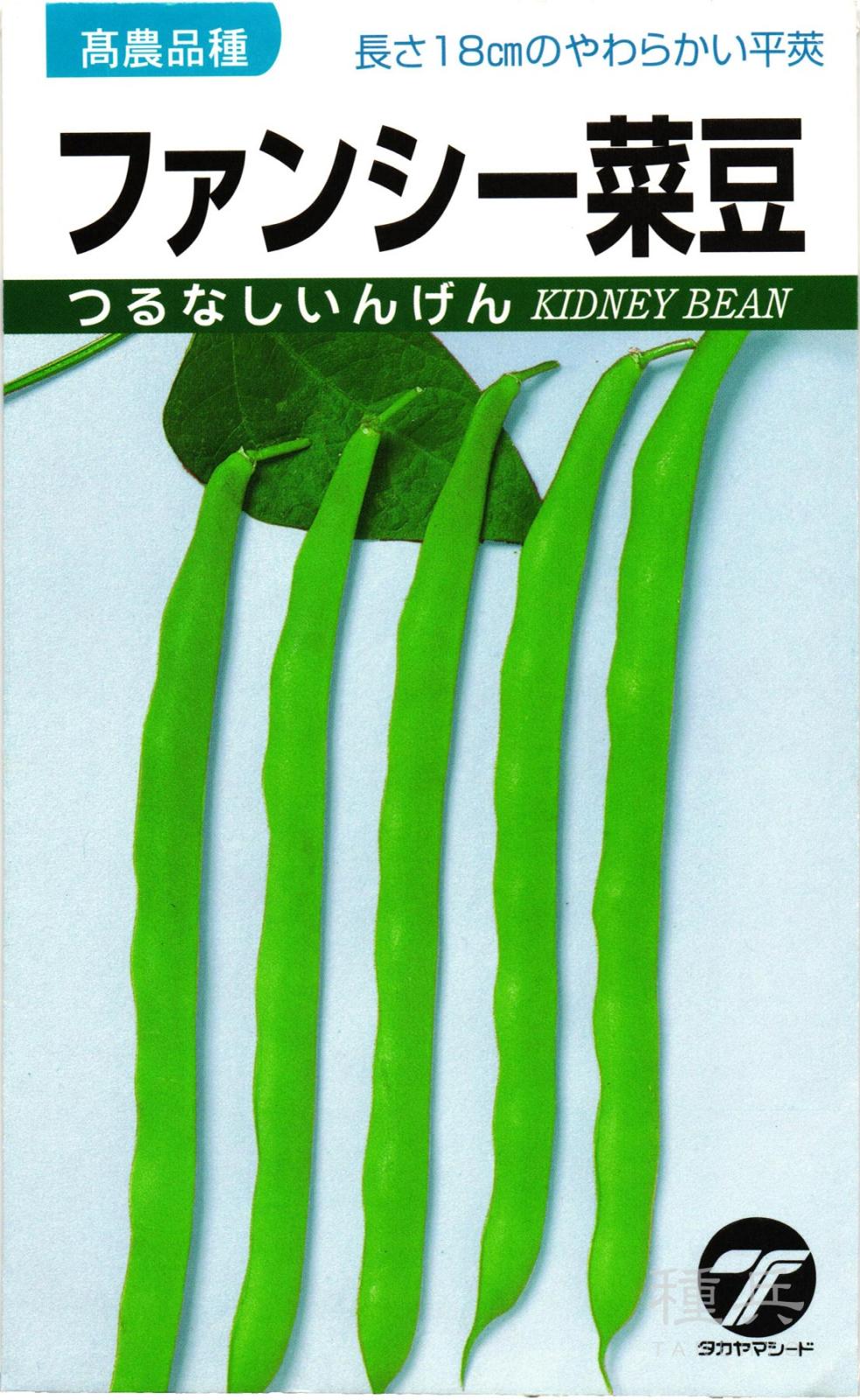 つるなしインゲン 種 『ファンシー菜豆』  タカヤマシード