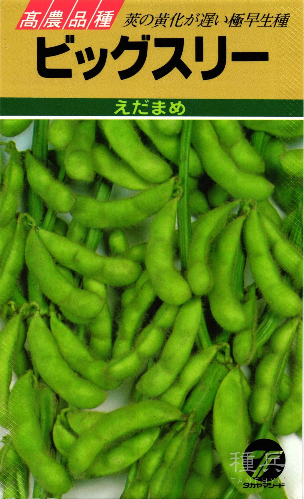 エダマメ 種 『ビッグスリー』  タカヤマシード