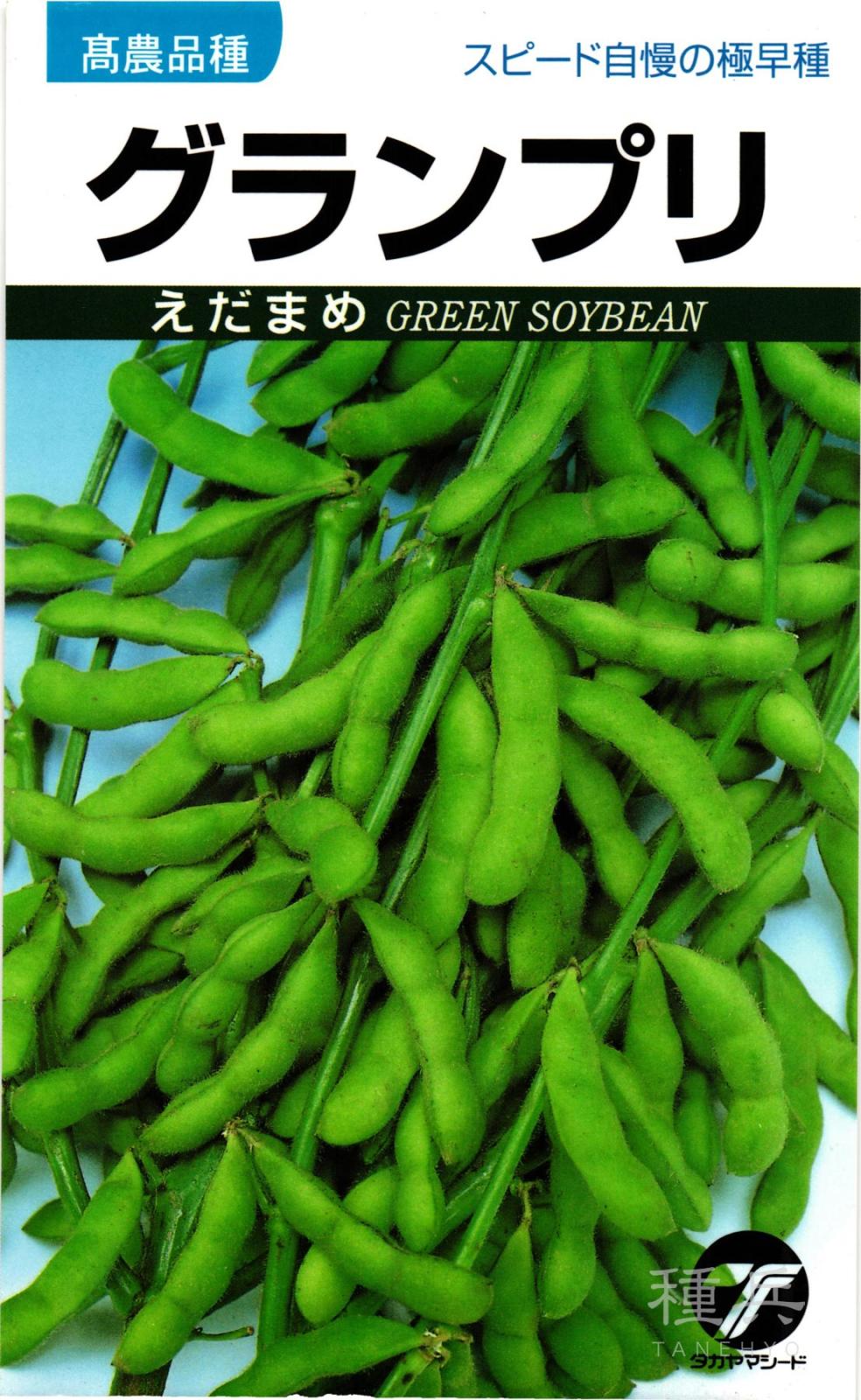 エダマメ 種 『グランプリ』  タカヤマシード