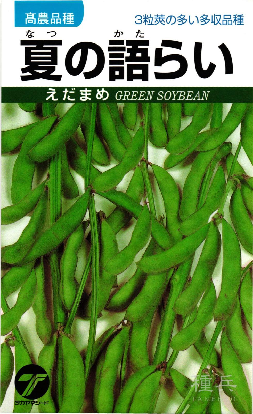 エダマメ 種 『夏の語らい』  タカヤマシード