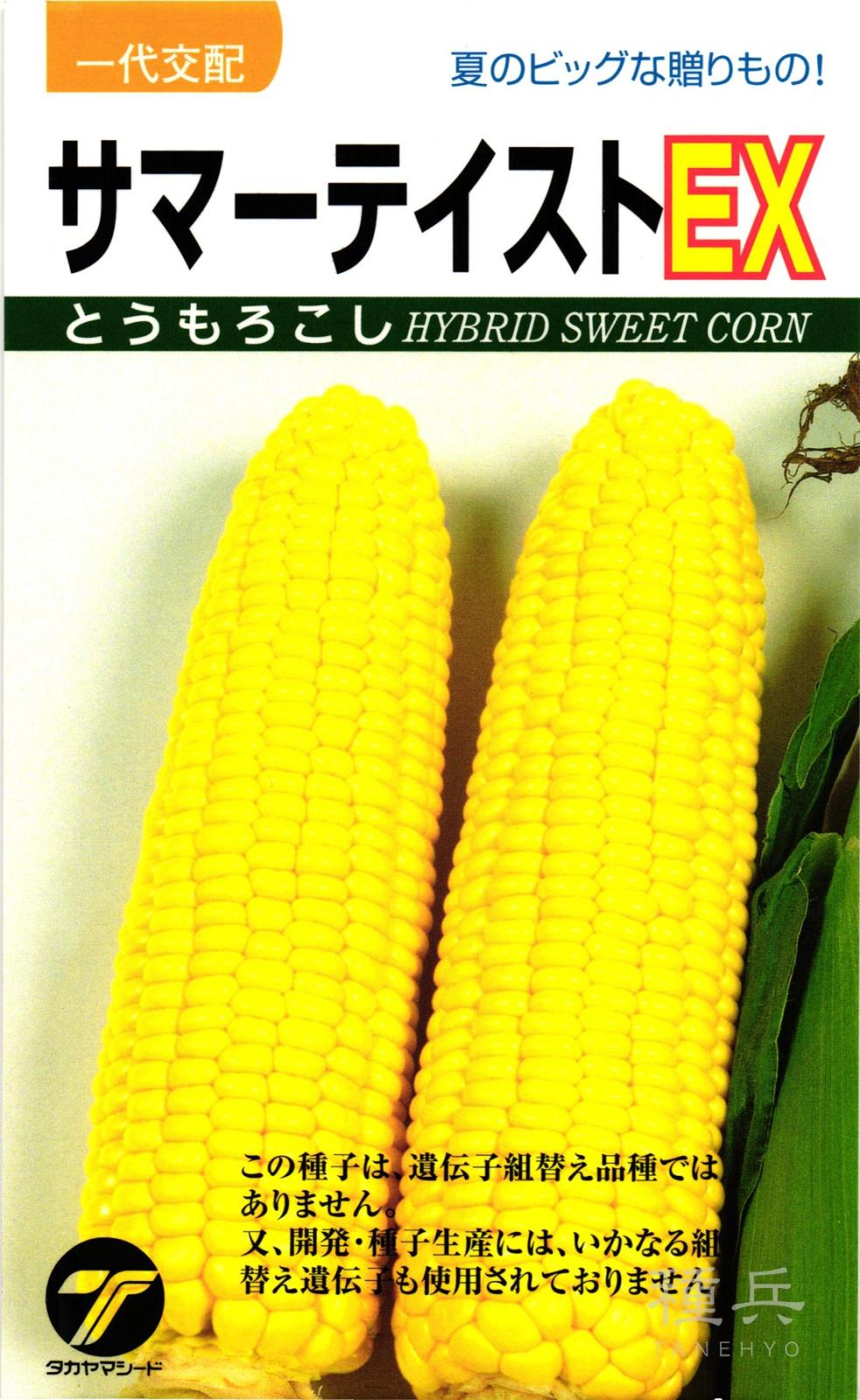 スイートコーン 種 『サマーテイストＥＸ』  タカヤマシード