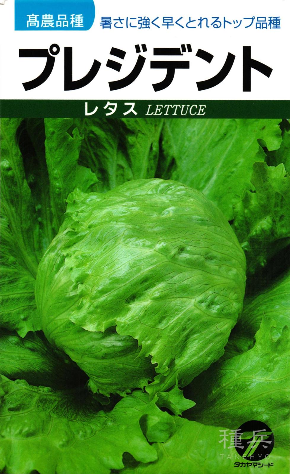 結球レタス 種 『プレジデント』  タカヤマシード