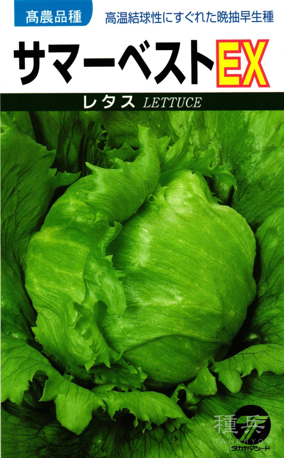 結球レタス 種 『サマーベストEX』  タカヤマシード