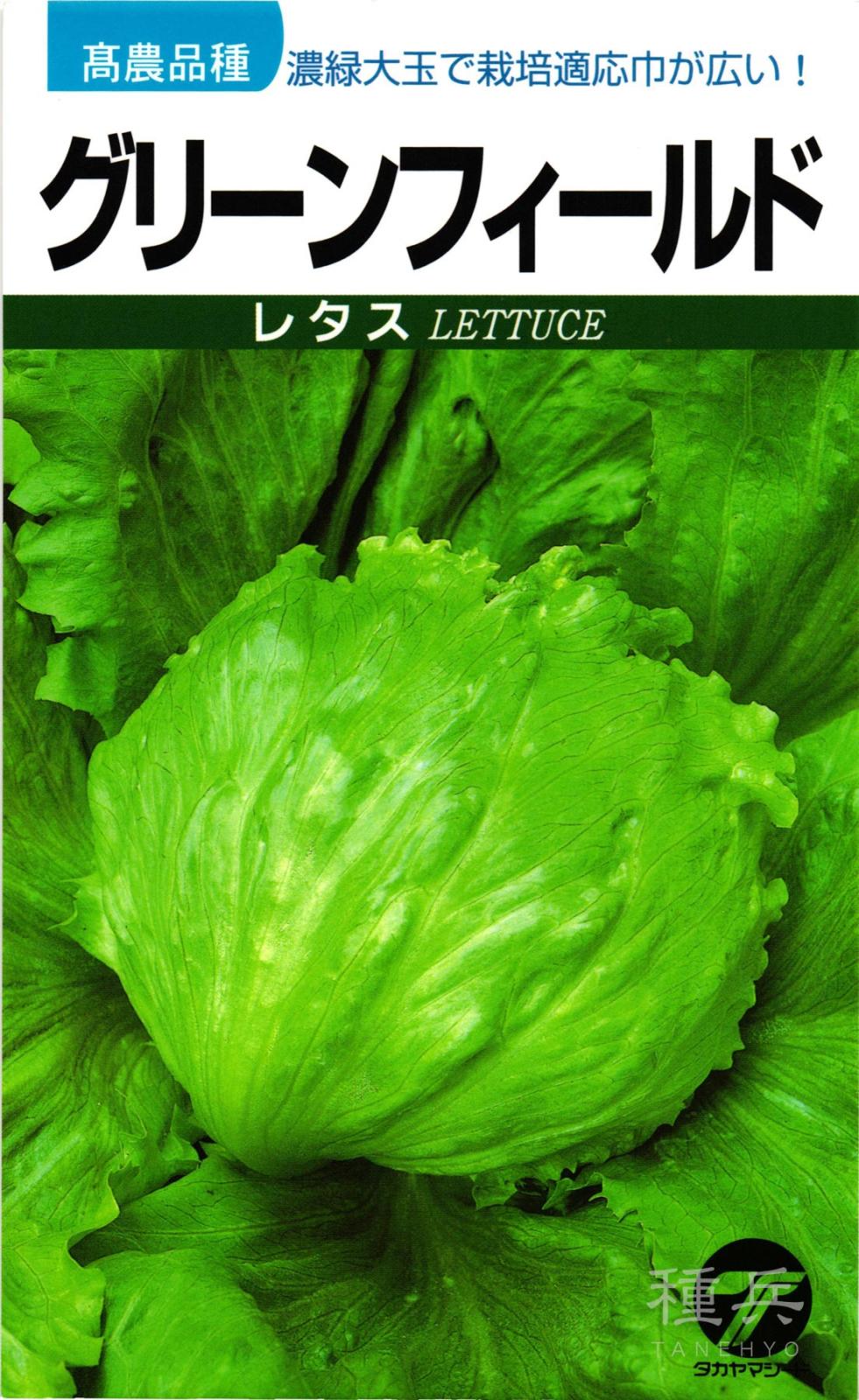 結球レタス 種 『グリーンフィールド』  タカヤマシード