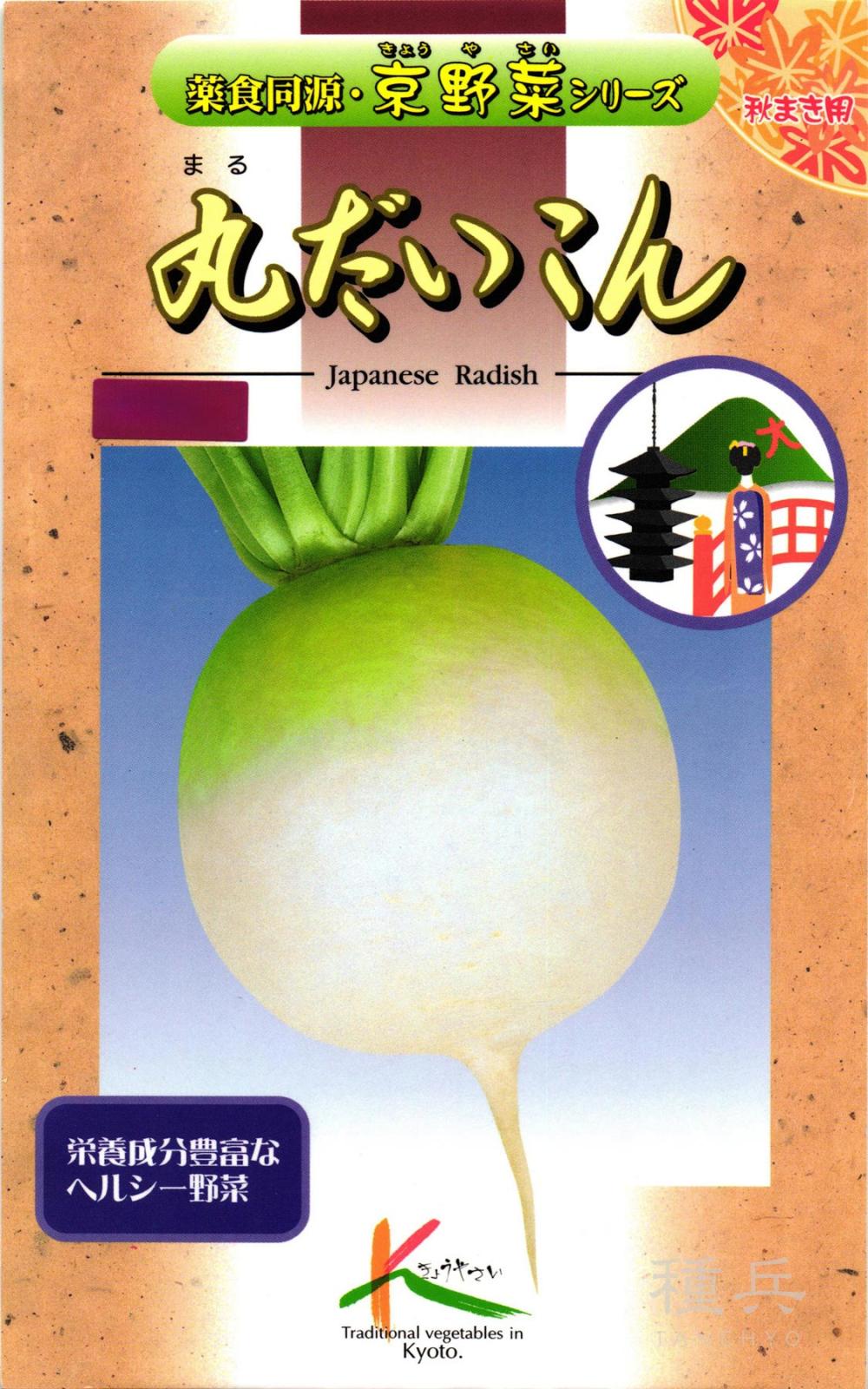 京野菜 種 『丸だいこん』  タカヤマシード