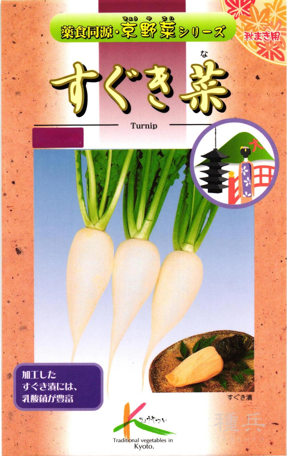 京野菜 種 『すぐき菜』  タカヤマシード