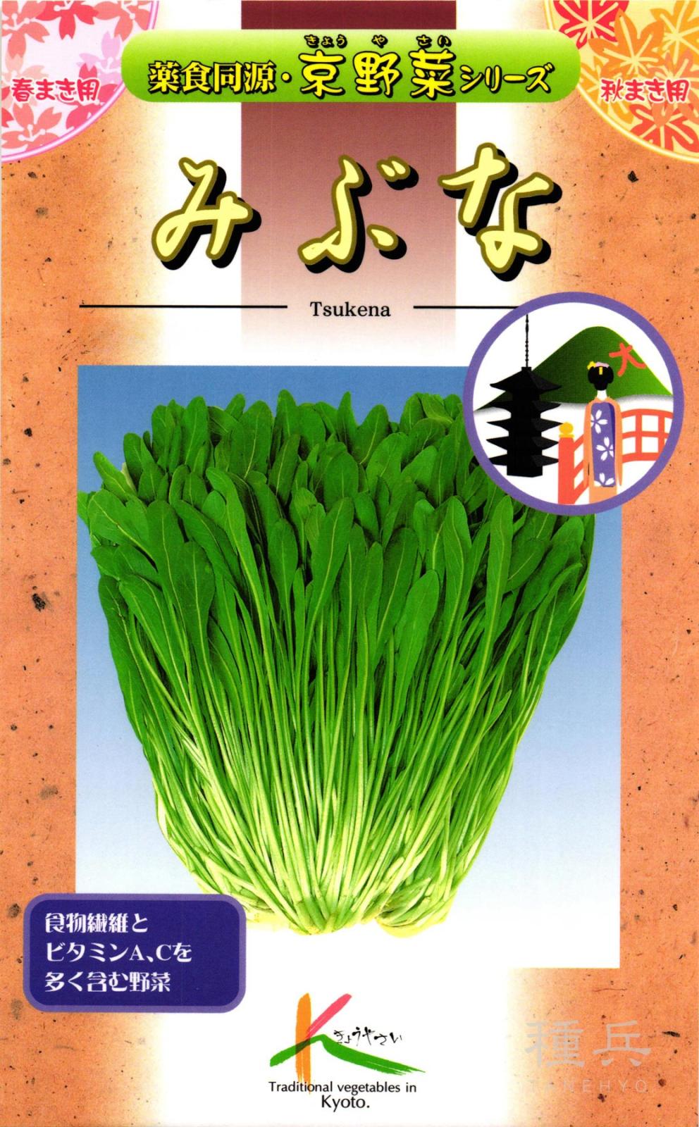 京野菜 種 『みぶな』  タカヤマシード
