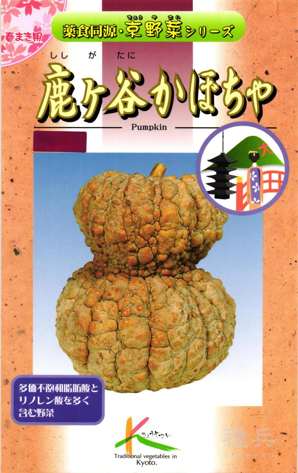 京野菜 種 『鹿ケ谷かぼちゃ』  タカヤマシード