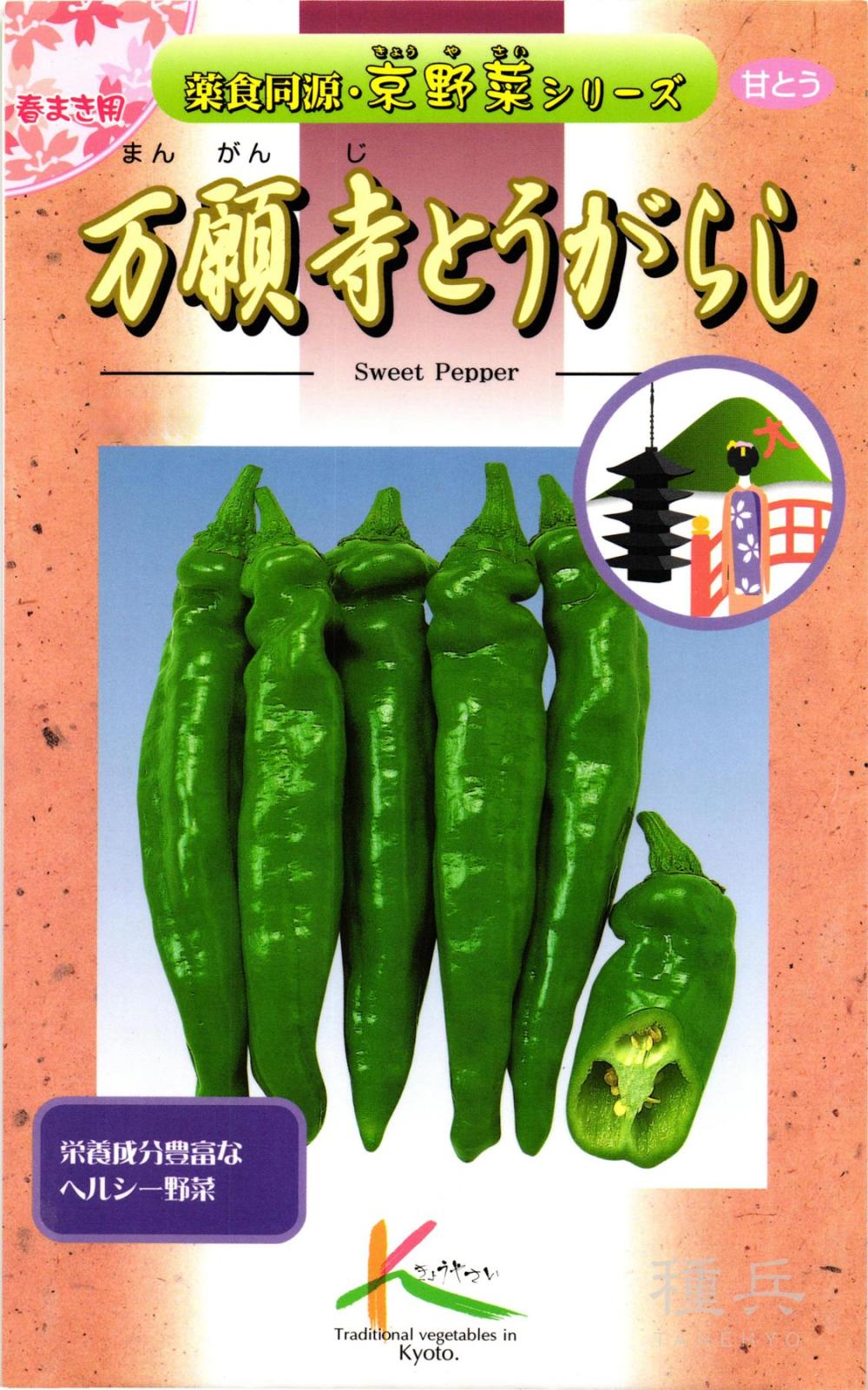 京野菜 種 『万願寺とうがらし』  タカヤマシード