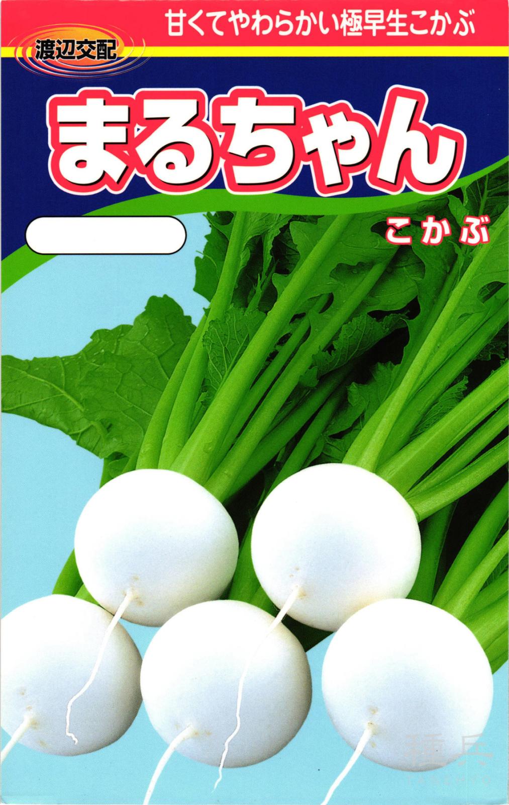 小カブ 種 『まるちゃん』  渡辺農事