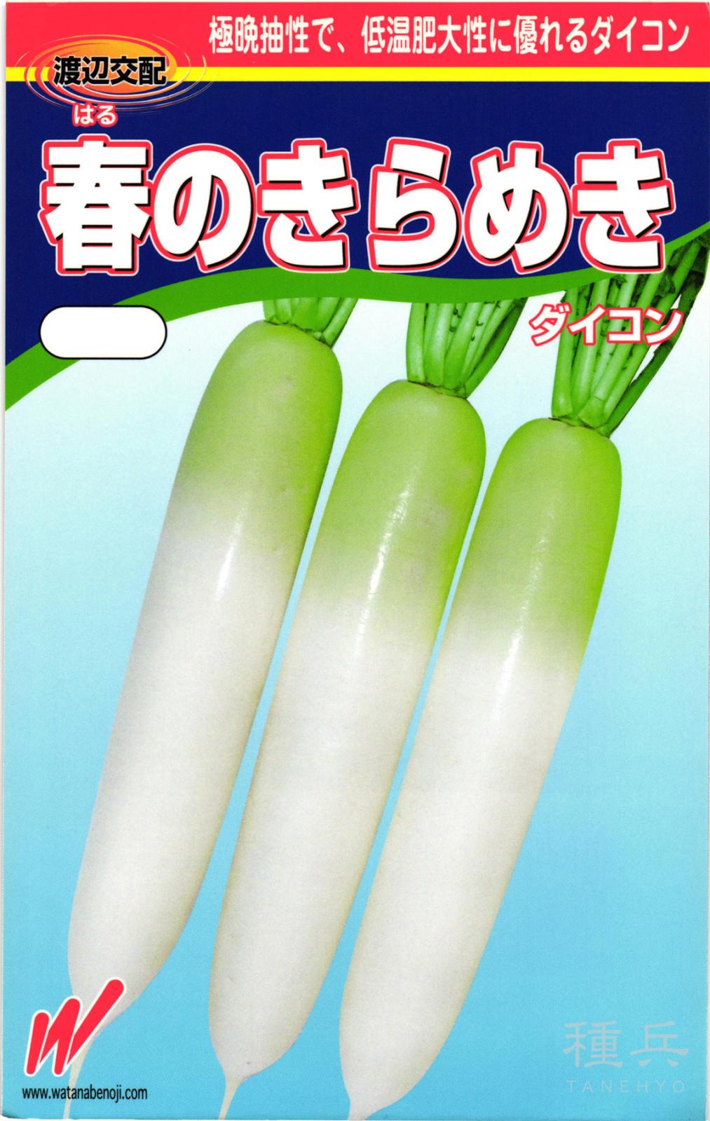 春どりダイコン 種 『春のきらめき』  渡辺農事