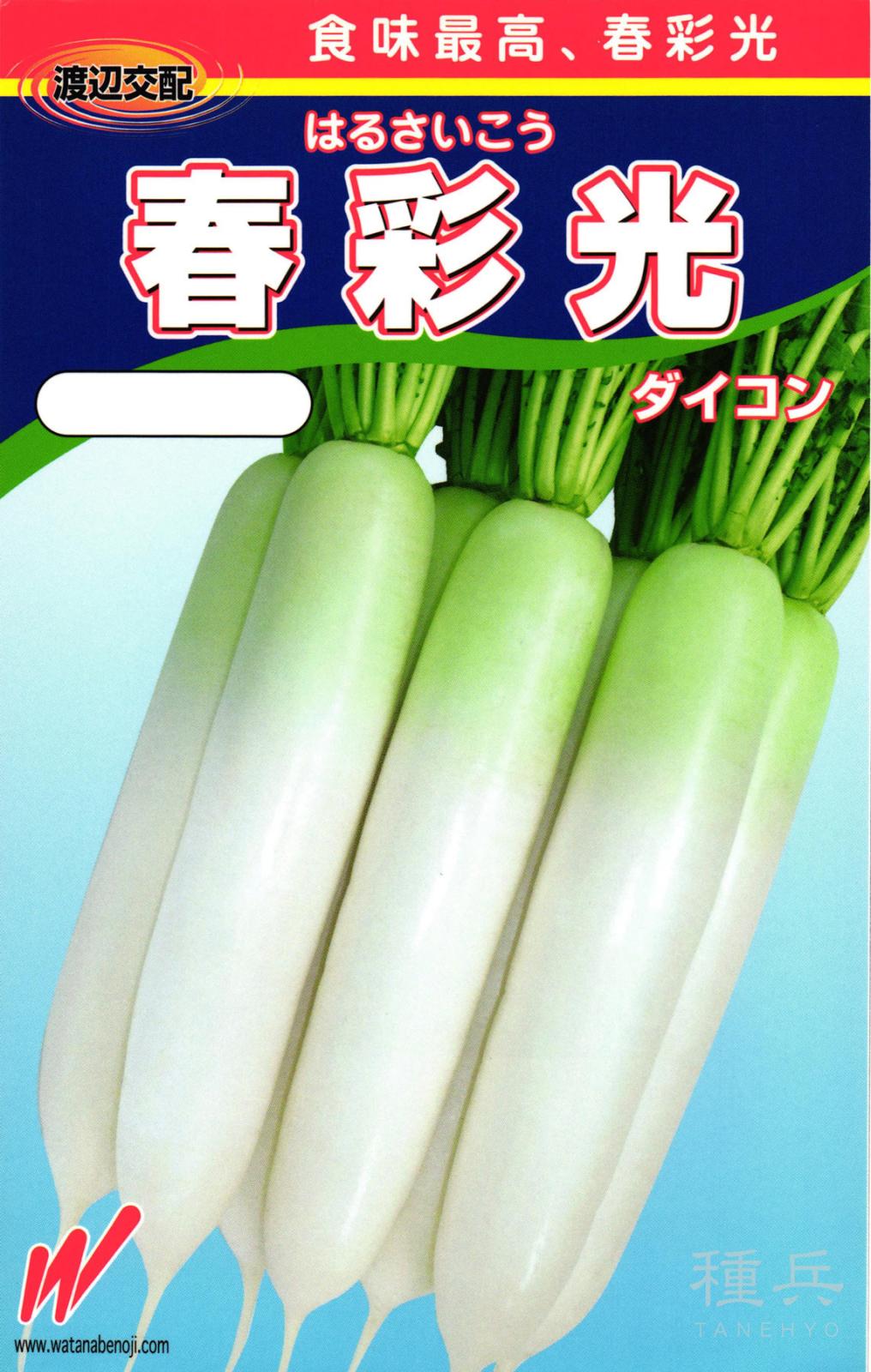 初夏どりダイコン 種 『春彩光（はるさいこう）』  渡辺農事