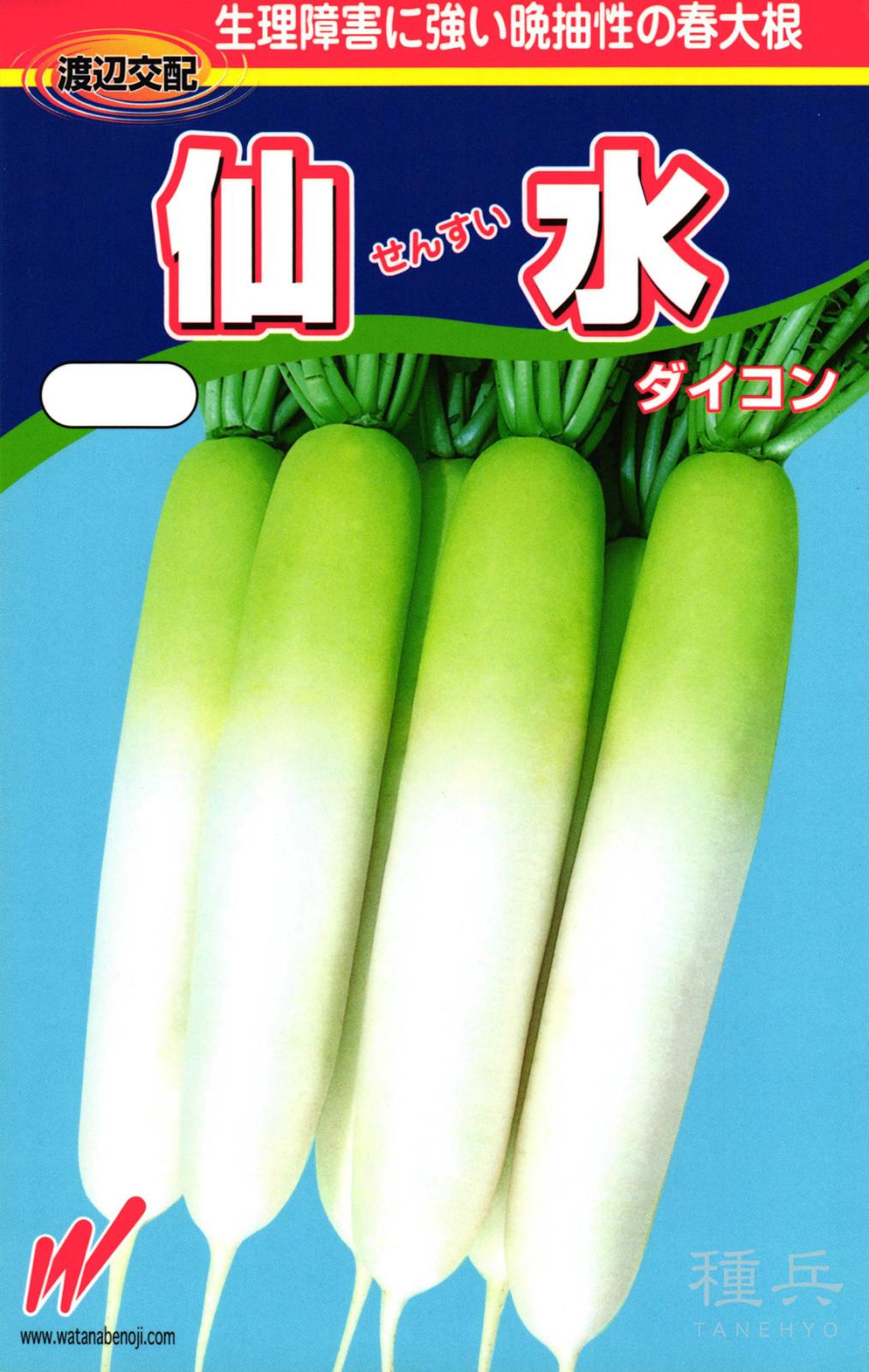 春どりダイコン 種 『仙水（せんすい）』  渡辺農事