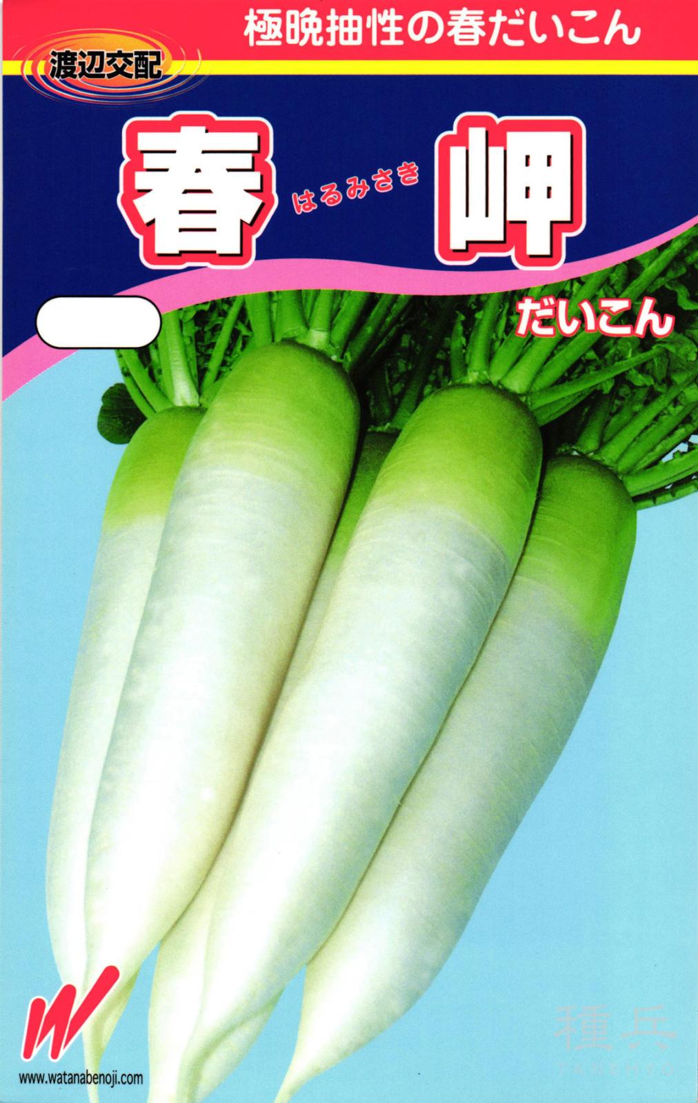 春どりダイコン 種 『春岬（はるみさき）』  渡辺農事