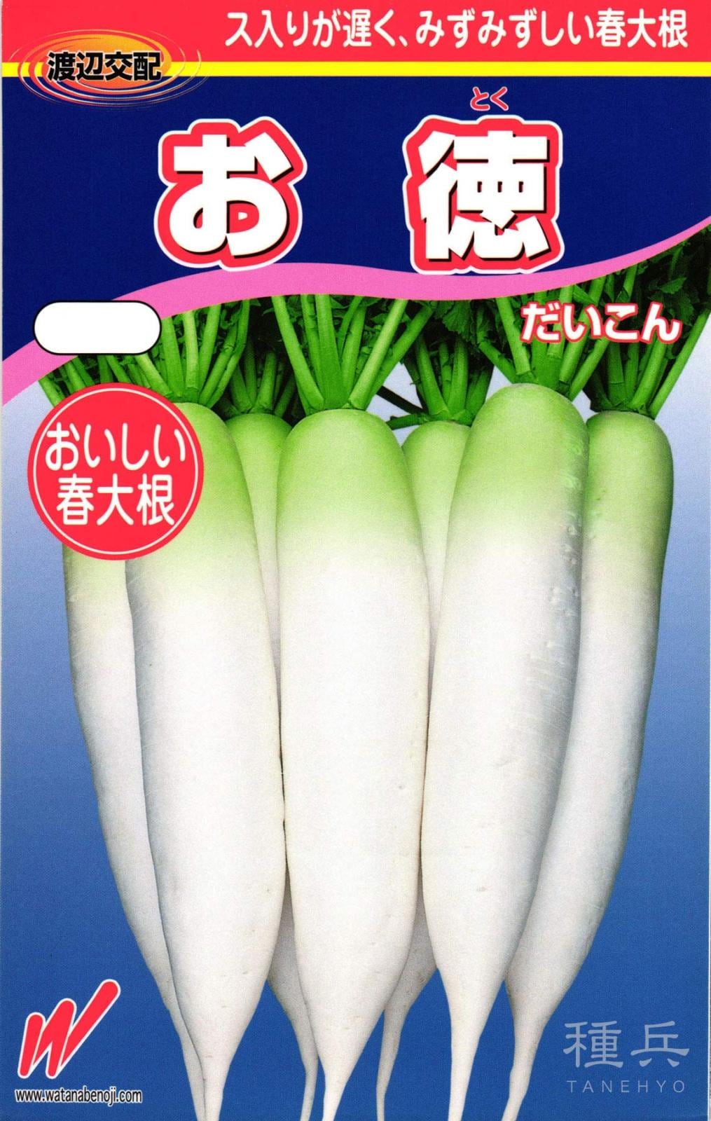 春どりダイコン 種 『お徳』  渡辺農事