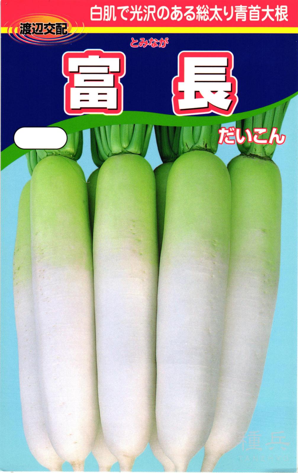 秋冬どりダイコン 種 『富長（とみなが）』  渡辺農事