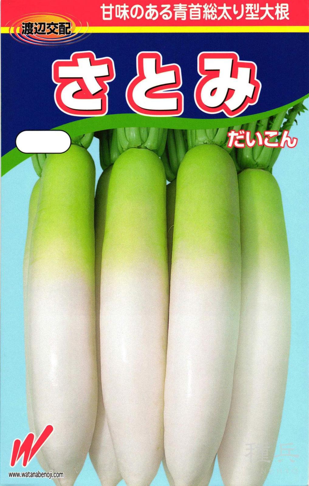 秋冬どりダイコン 種 『さとみ』  渡辺農事