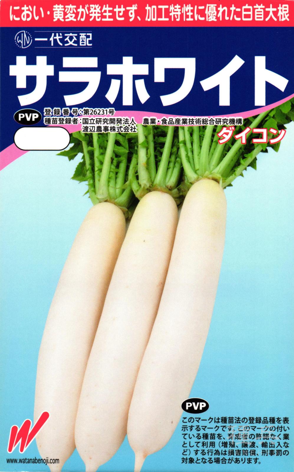 冬どりダイコン 種 『サラホワイト』  渡辺農事
