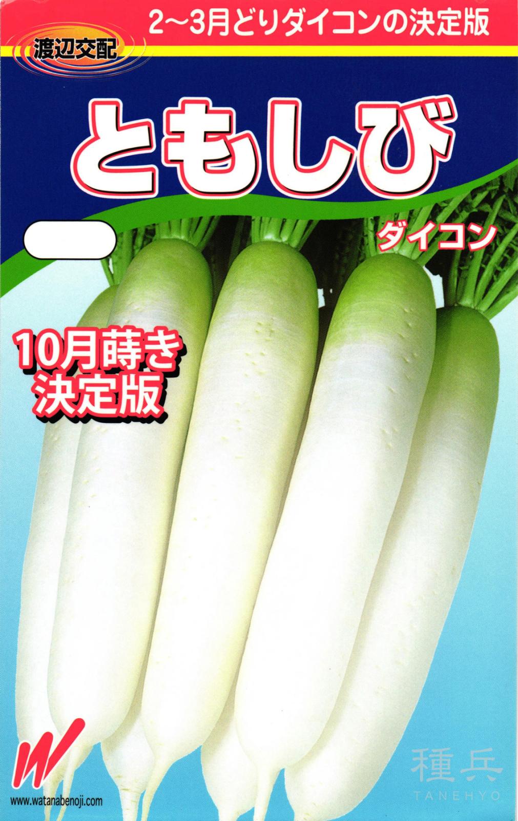 初春どりダイコン 種 『ともしび』  渡辺農事