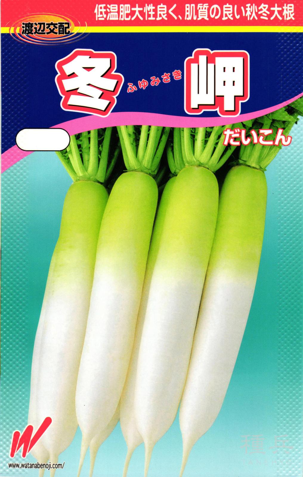 冬どりダイコン 種 『冬岬（ふゆみさき）』  渡辺農事