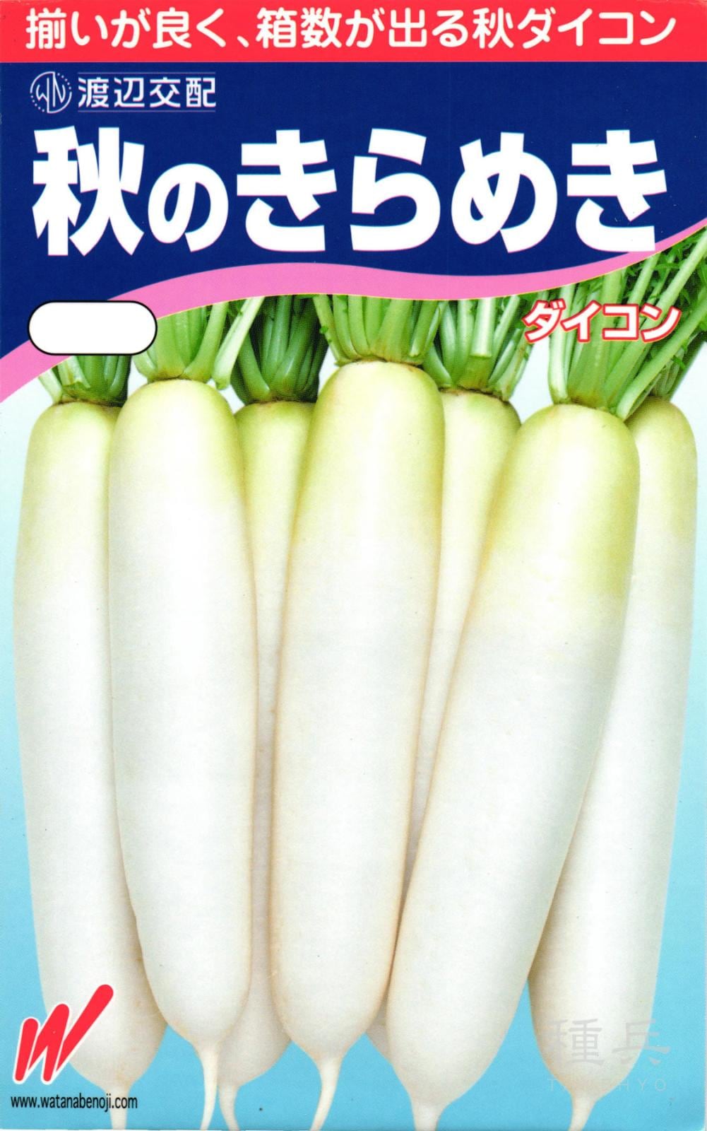 秋どりダイコン 種 『秋のきらめき』  渡辺農事