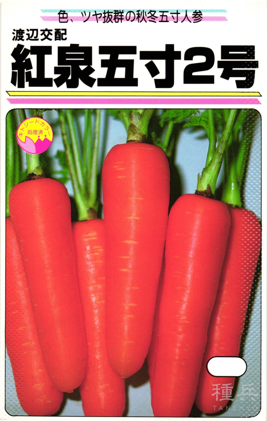 秋冬ニンジン 種 『紅泉五寸2号』  渡辺農事