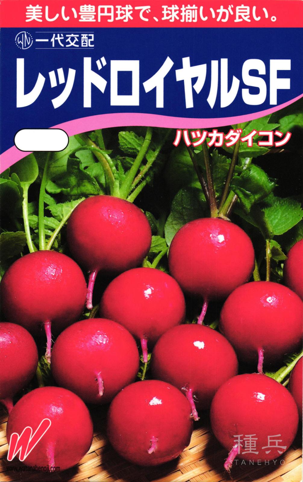 ハツカダイコン 種 『レッドロイヤルSF』  渡辺農事