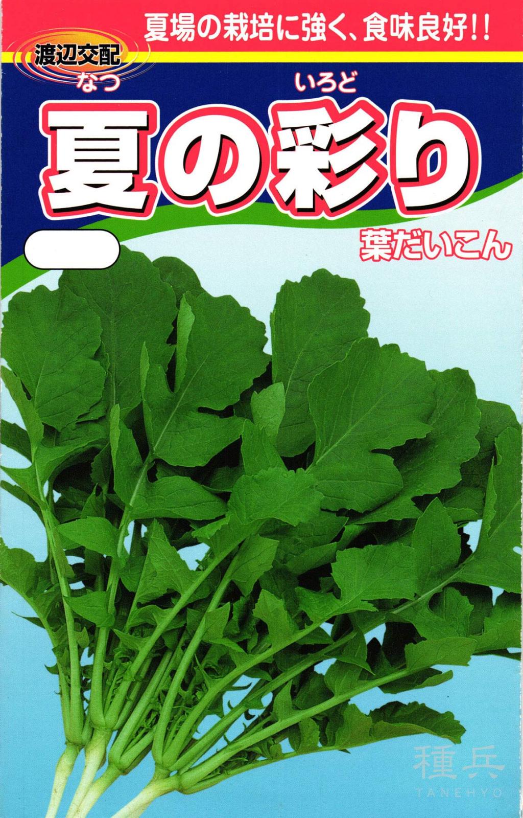 葉ダイコン 種 『夏の彩り（なつのいろどり）』  渡辺農事