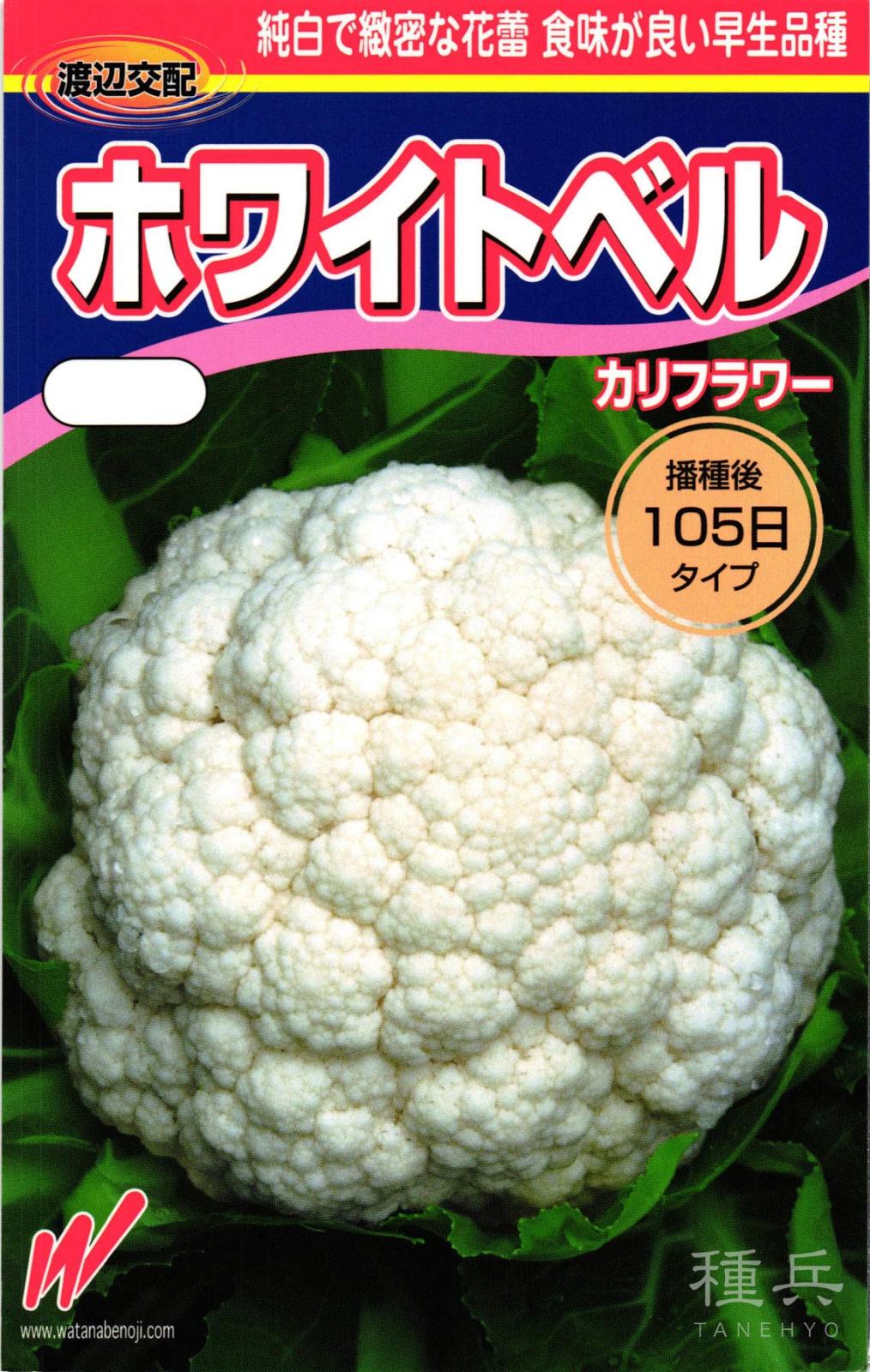 早生カリフラワー 種 『ホワイトベル』  渡辺農事
