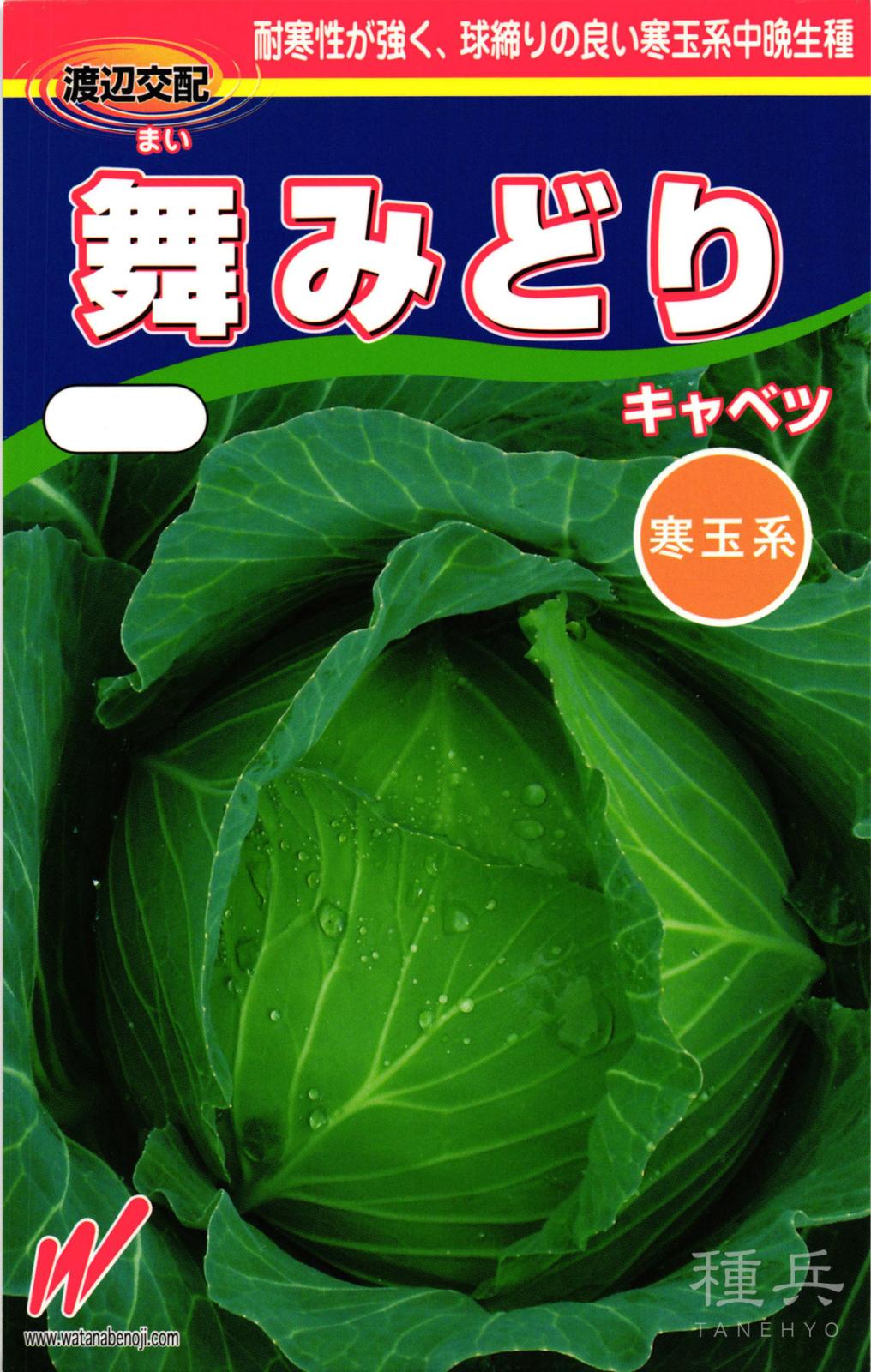 厳寒期どりキャベツ 種 『舞みどり(NX-BY528)』  渡辺農事