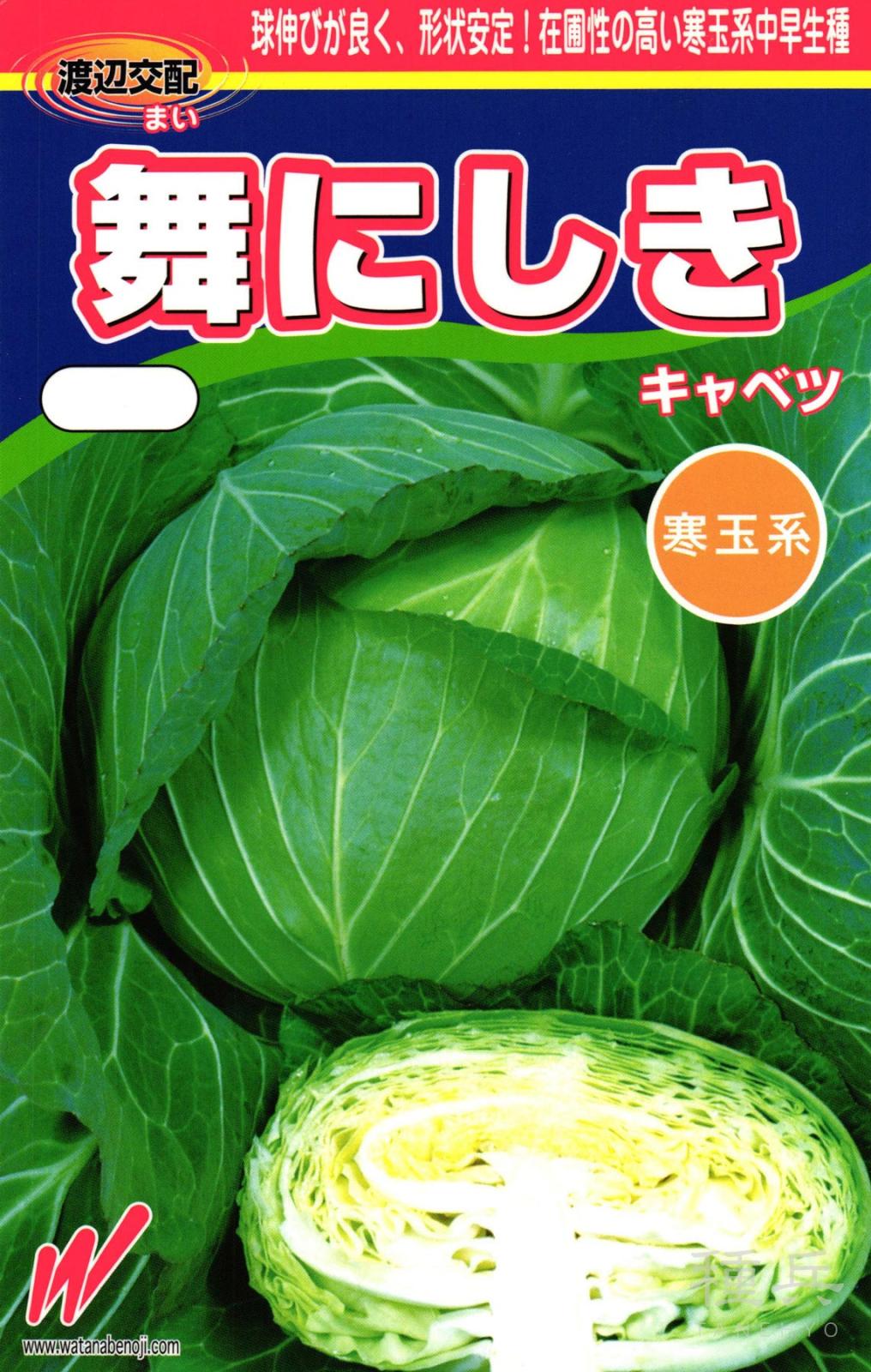 初夏・秋どりキャベツ 種 『舞にしき(NX-BY757)』  渡辺農事