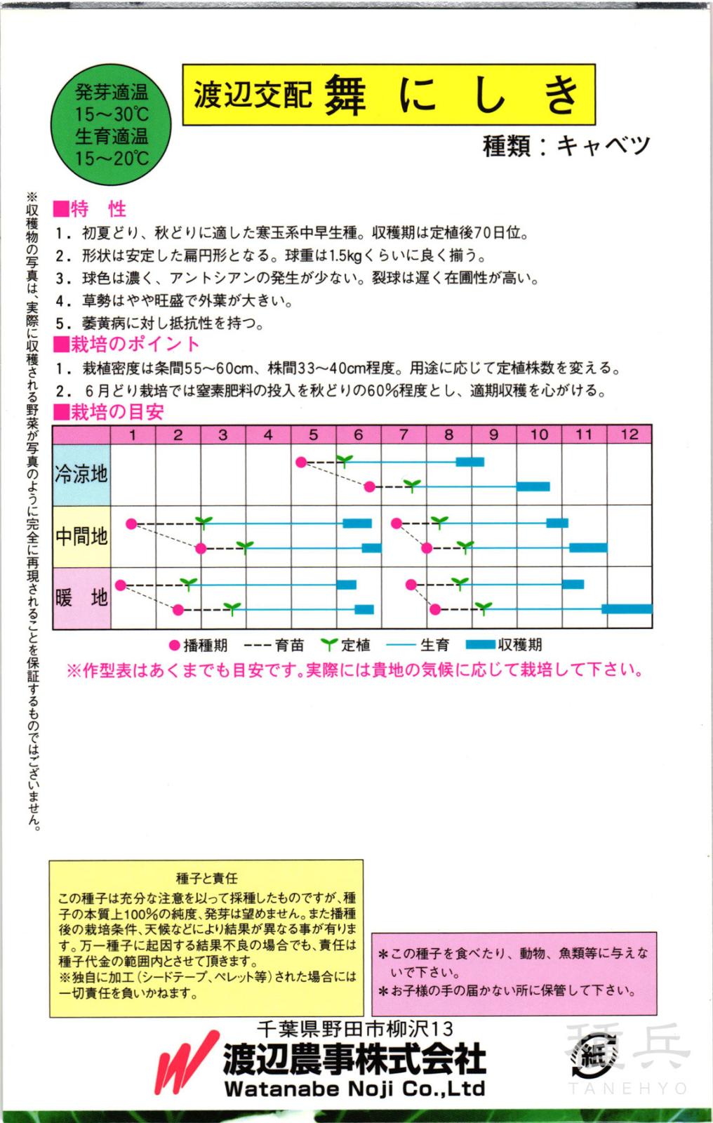 初夏・秋どりキャベツ 種 『舞にしき(NX-BY757)』 渡辺農事 | たね,葉
