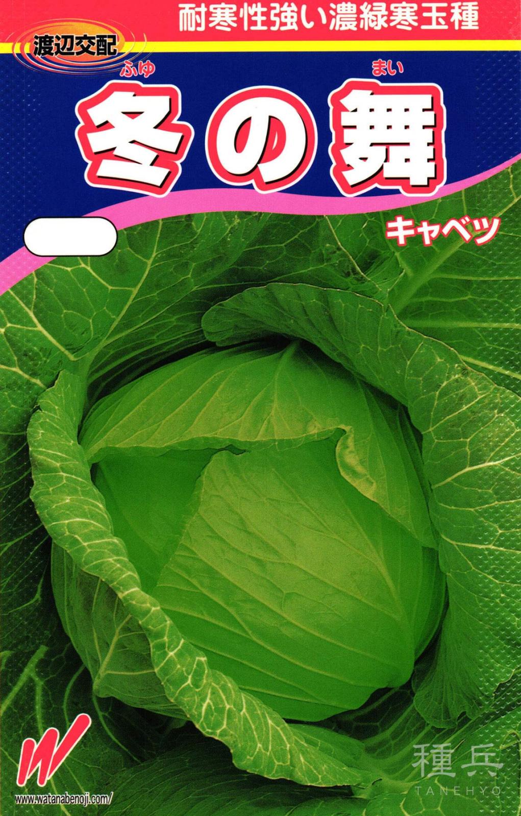 冬どりキャベツ 種 『冬の舞』  渡辺農事