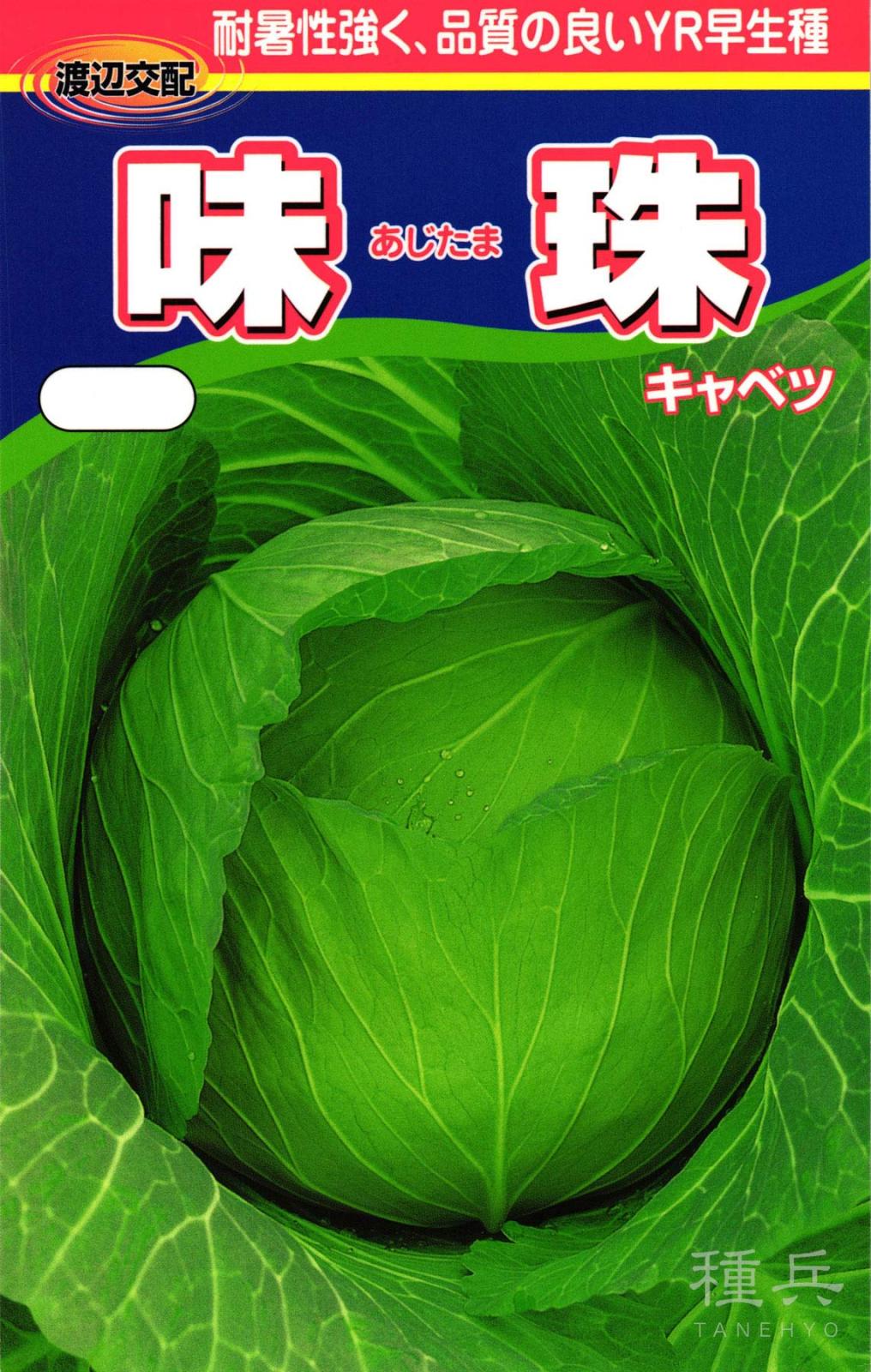 寒玉系早生キャベツ 種 『味珠（あじたま）』  渡辺農事