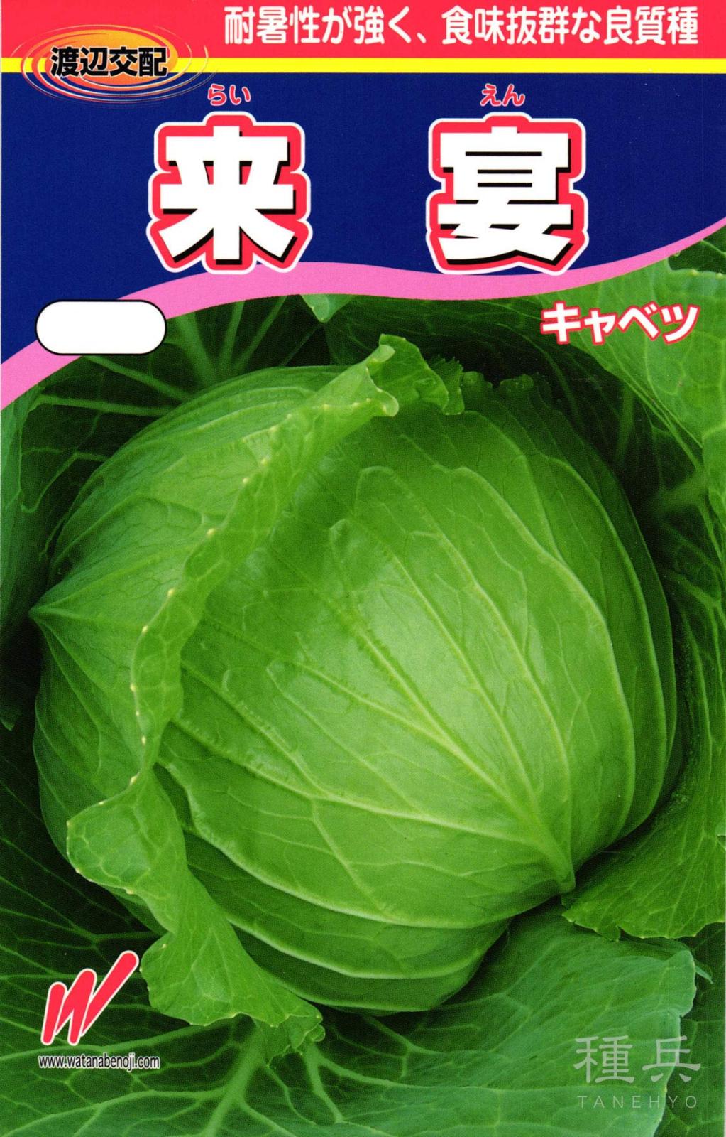 初夏・秋どりキャベツ 種 『来宴(らいえん)』  渡辺農事