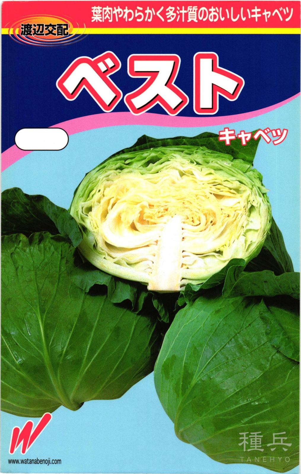 キャベツ 種 『ベスト』  渡辺農事