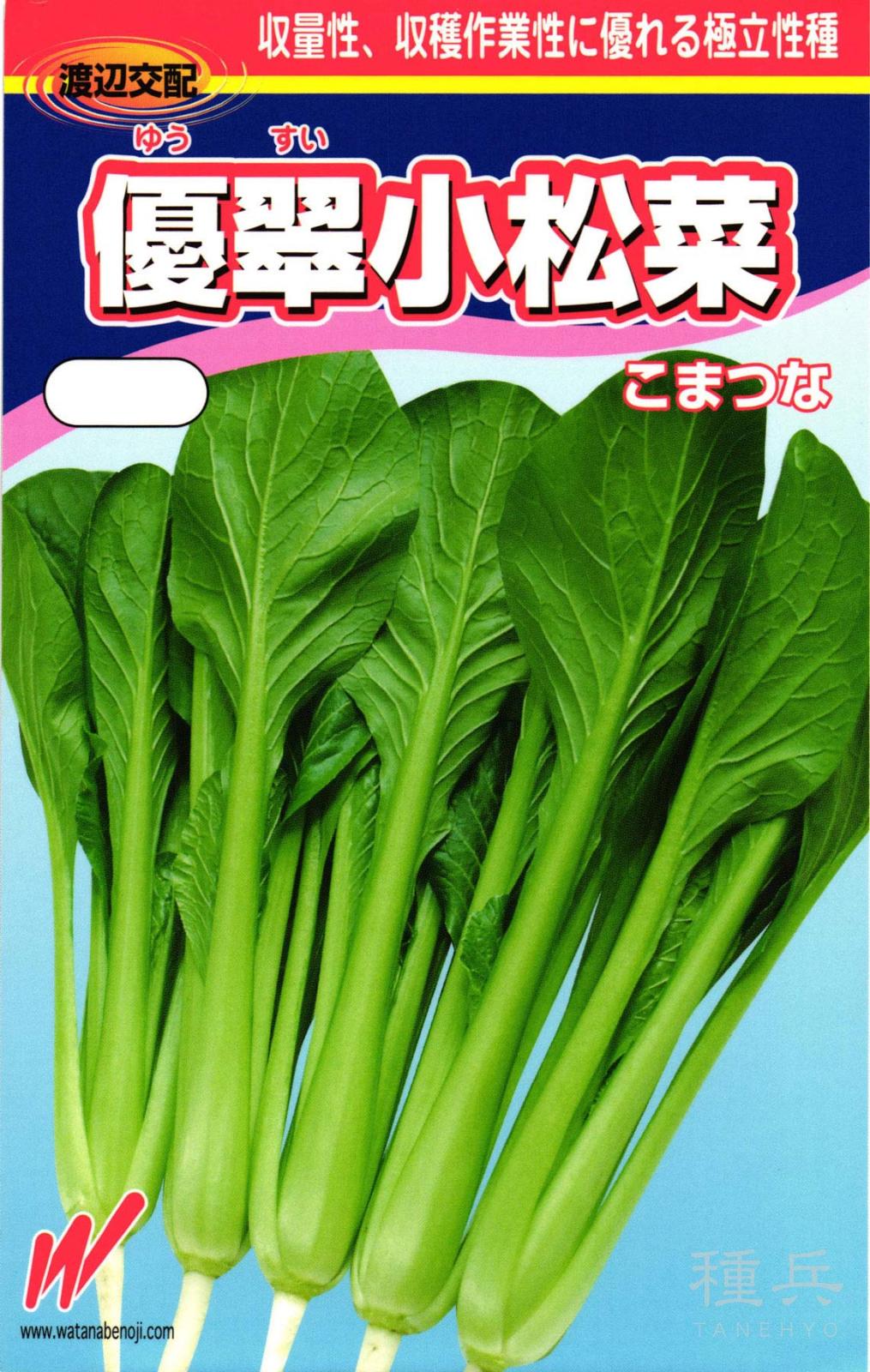 コマツナ 種 『優翠(ゆうすい)』  渡辺農事