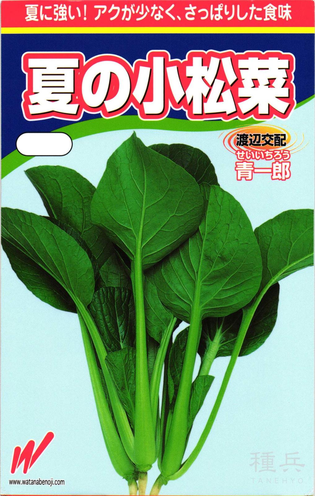 コマツナ 種 『夏の小松菜・青一郎(せいいちろう)』  渡辺農事