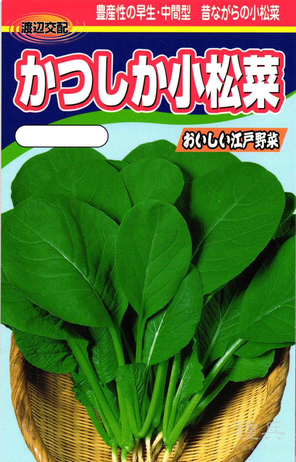 コマツナ 種 『かつしか』  渡辺農事