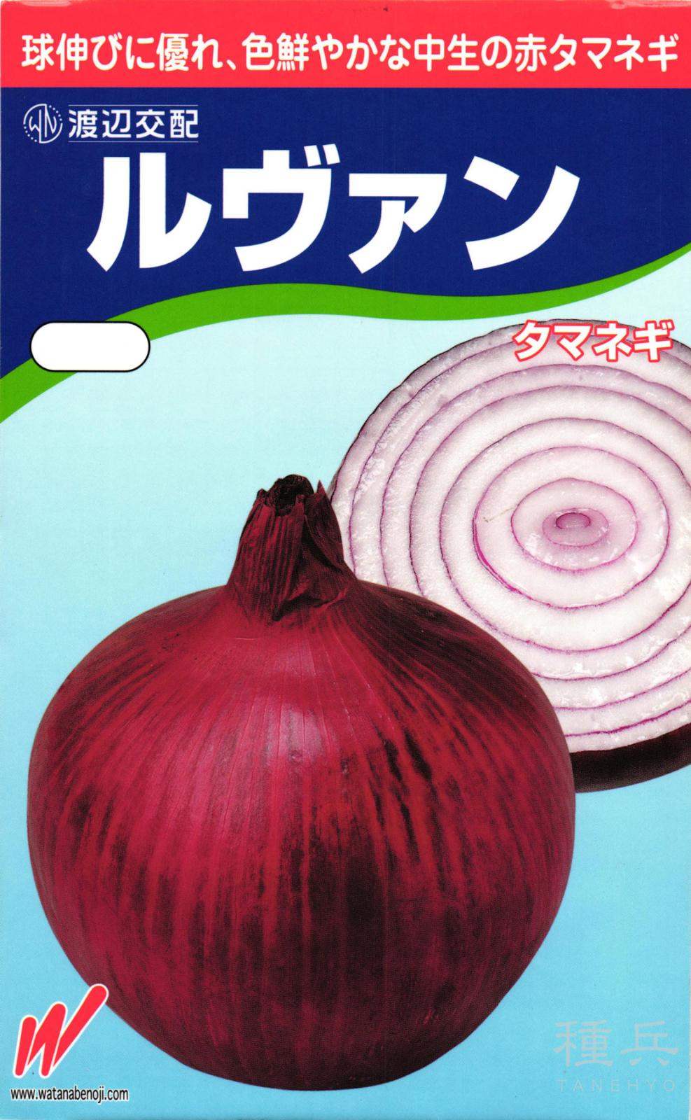 赤タマネギ 種 『ルヴァン』  渡辺農事