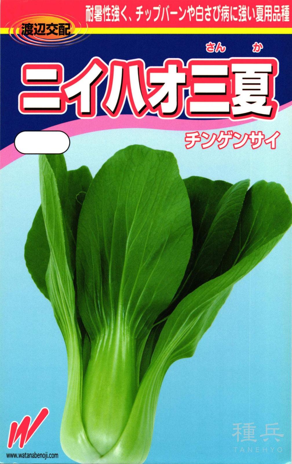 チンゲンサイ 種 『ニイハオ三夏(さんか)』  渡辺農事