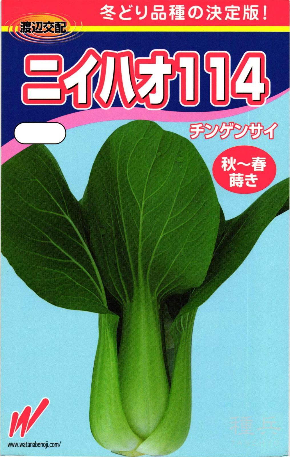 チンゲンサイ 種 『ニイハオ114』  渡辺農事
