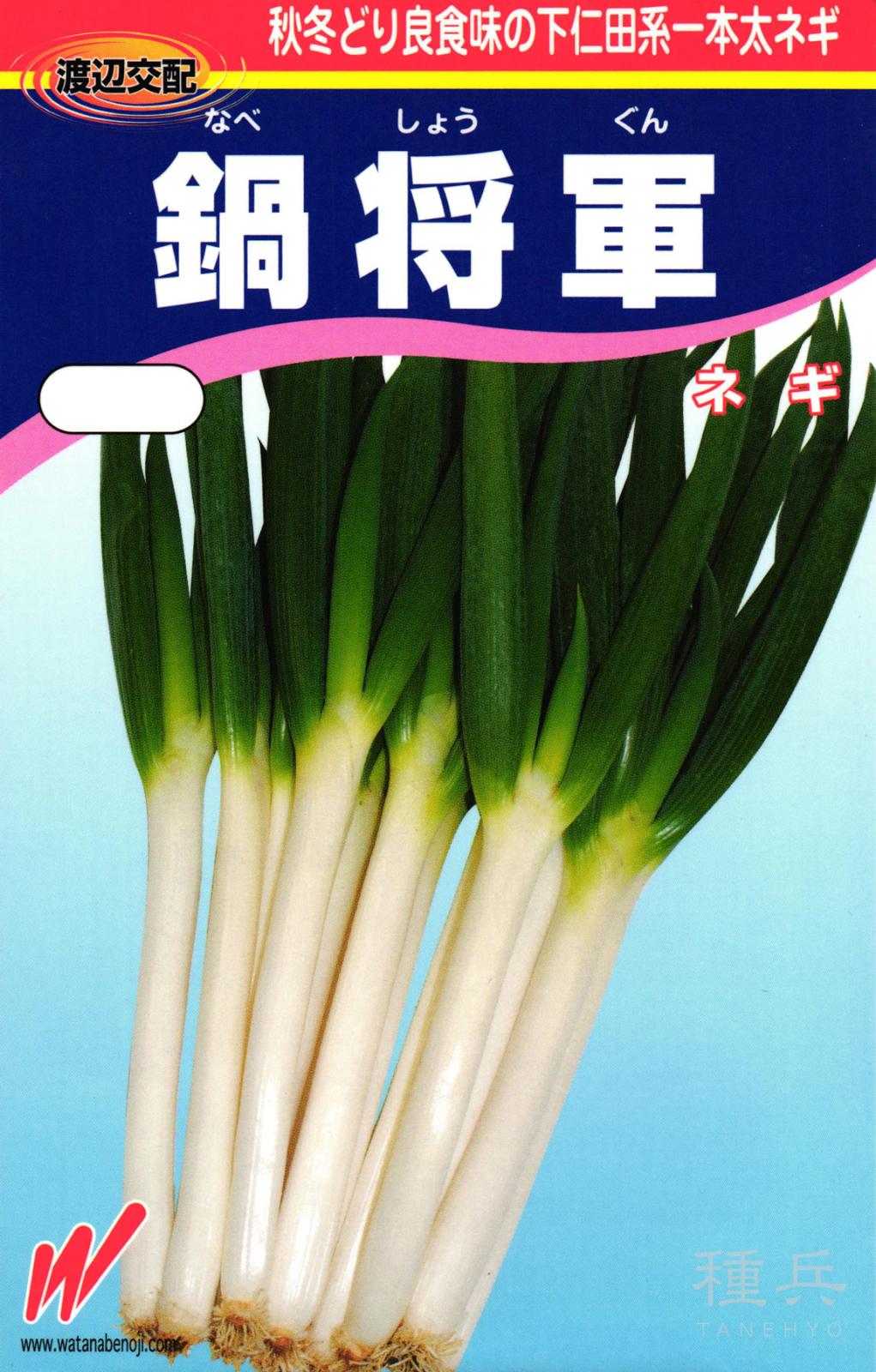 根深ネギ 種 『鍋将軍』  渡辺農事