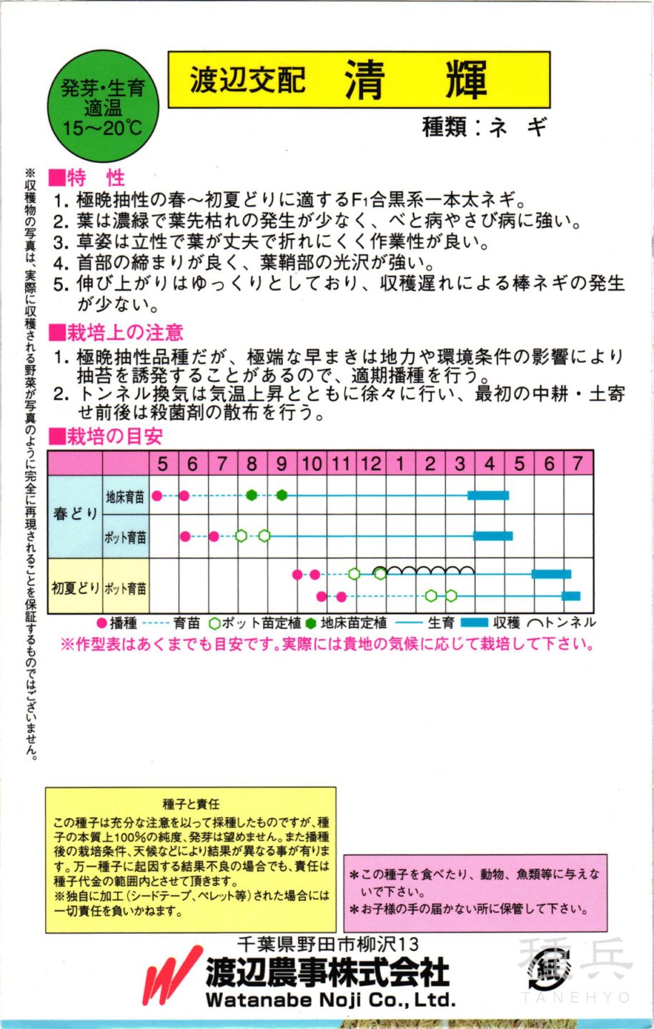 根深ネギ 種 『清輝』 渡辺農事 | たね,葉菜の種,ネギ,根深・白ネギ