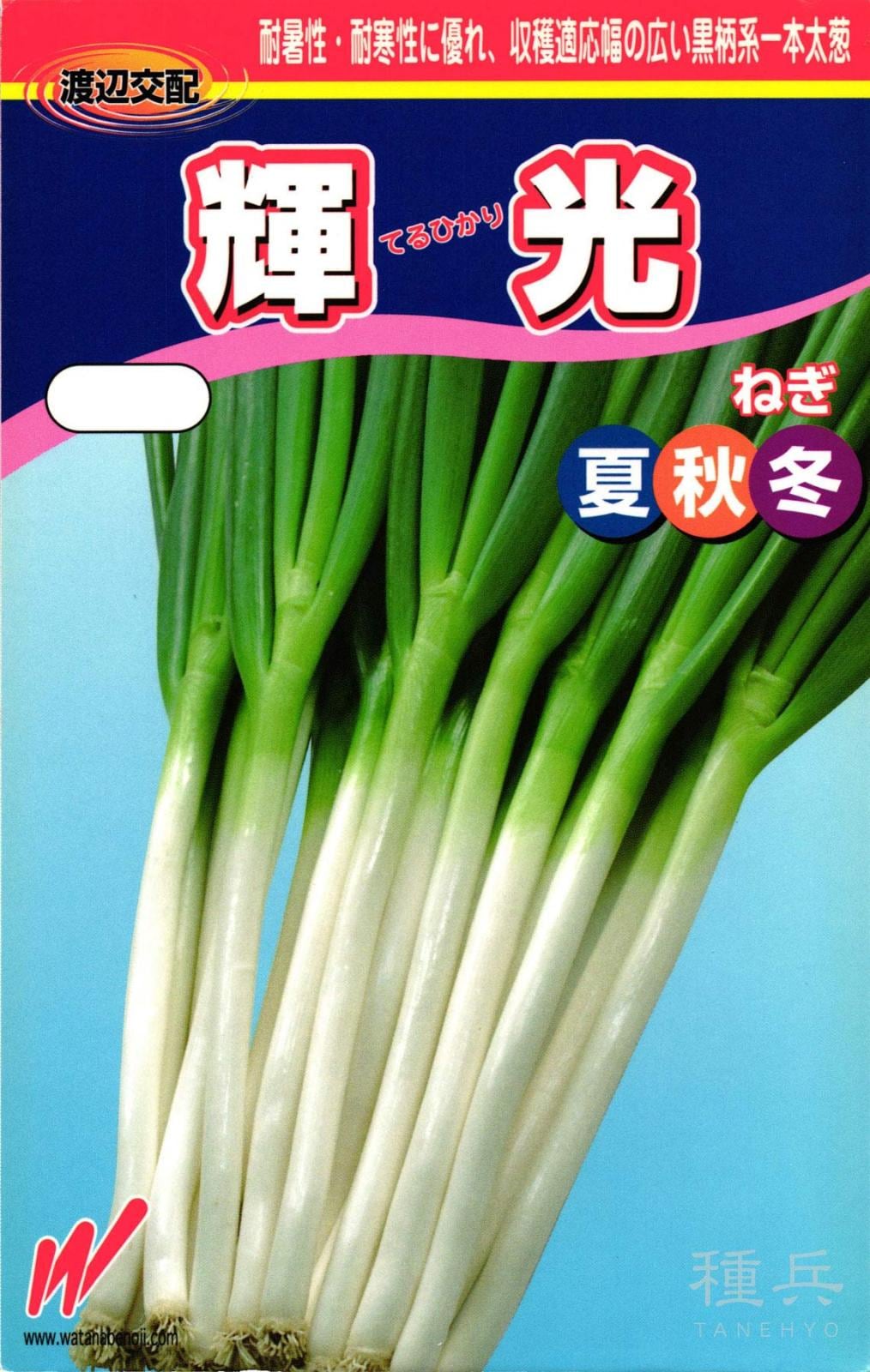 根深ネギ 種 『輝光（てるひかり）』  渡辺農事
